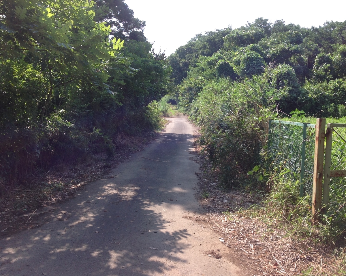 つくば市赤塚 事業用地4