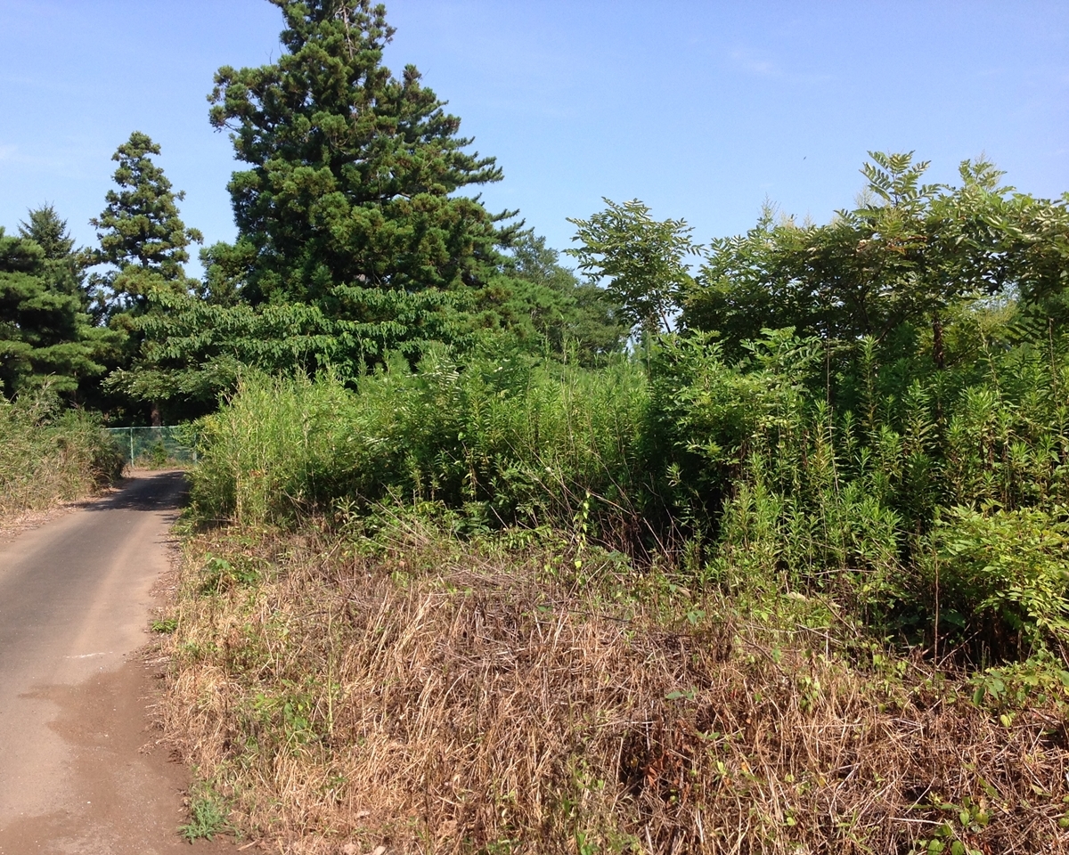 つくば市赤塚 事業用地9